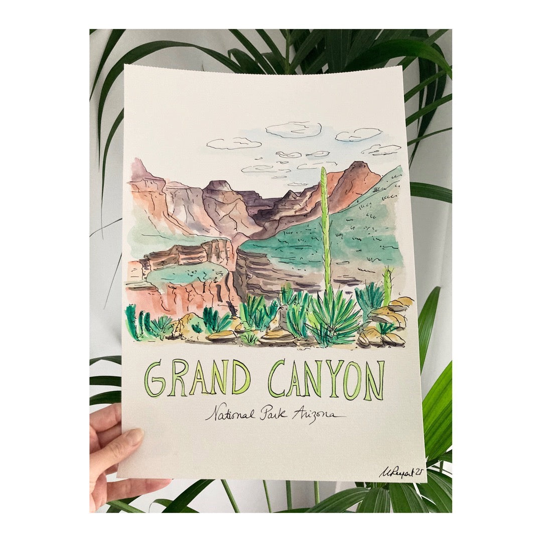 Original drawing of Grand Canyon National Park, plants