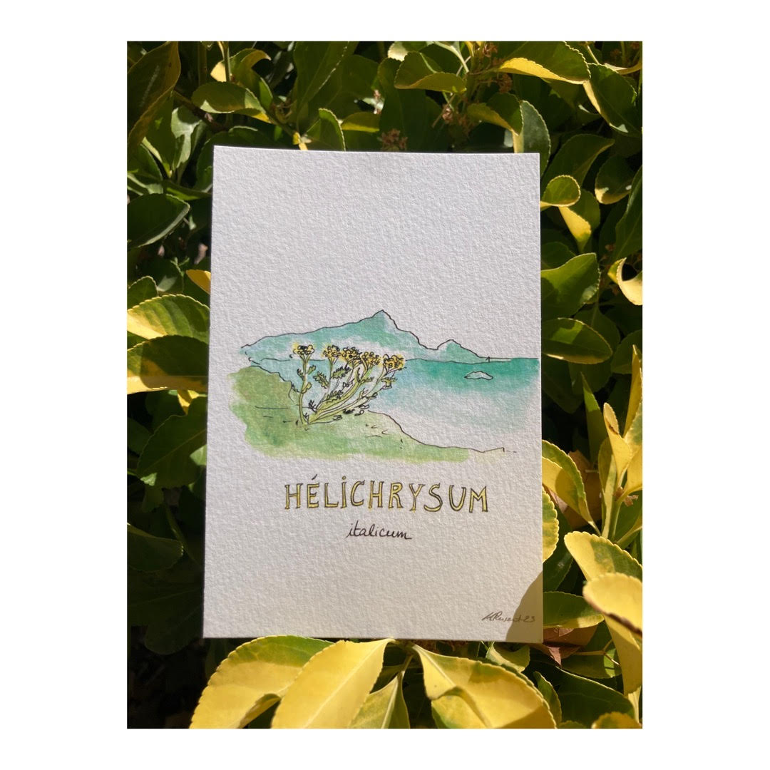 Pack of 10 Postcards of Nature