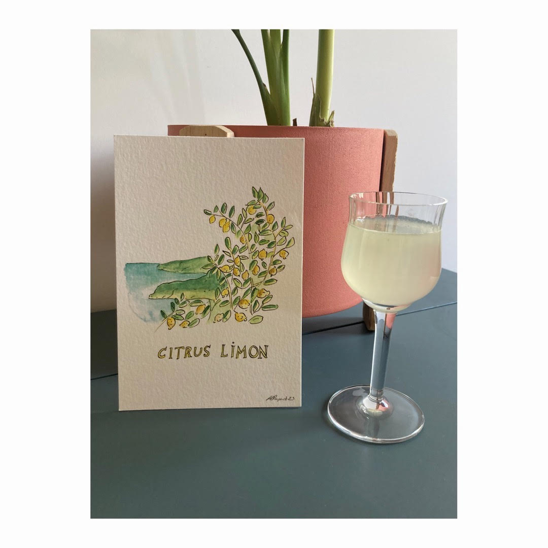 Pack of 10 Postcards of Nature