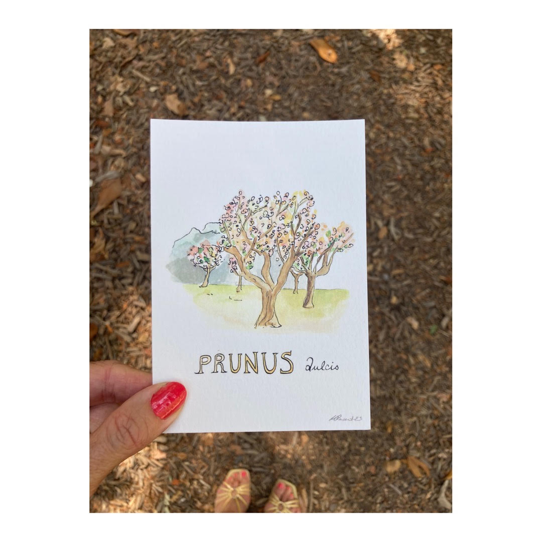 Pack of 10 Postcards of Nature