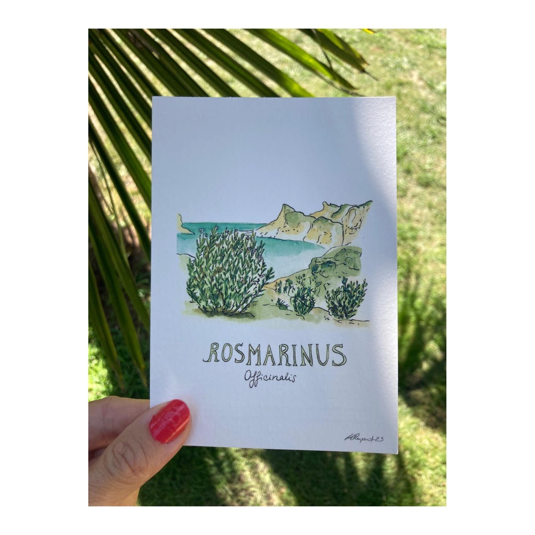 Pack of 10 Postcards of Nature