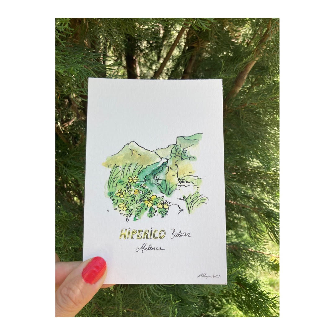 Pack of 10 Postcards of Nature