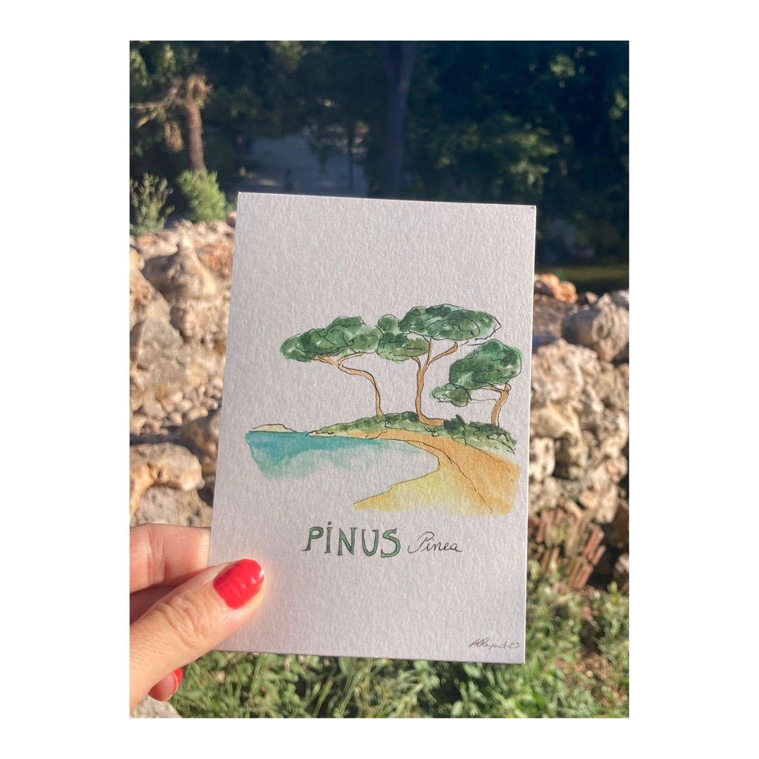 Pack of 10 Postcards of Nature