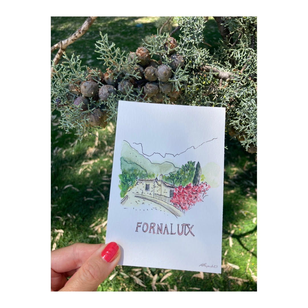 Pack of 10 Postcards of Mallorca
