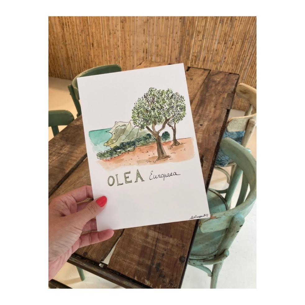 Pack of 10 Postcards of Nature