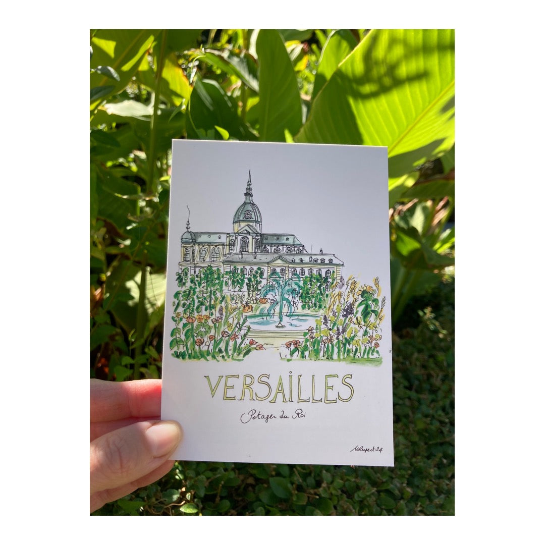 Pack of 10 Postcards of Château de Versailles