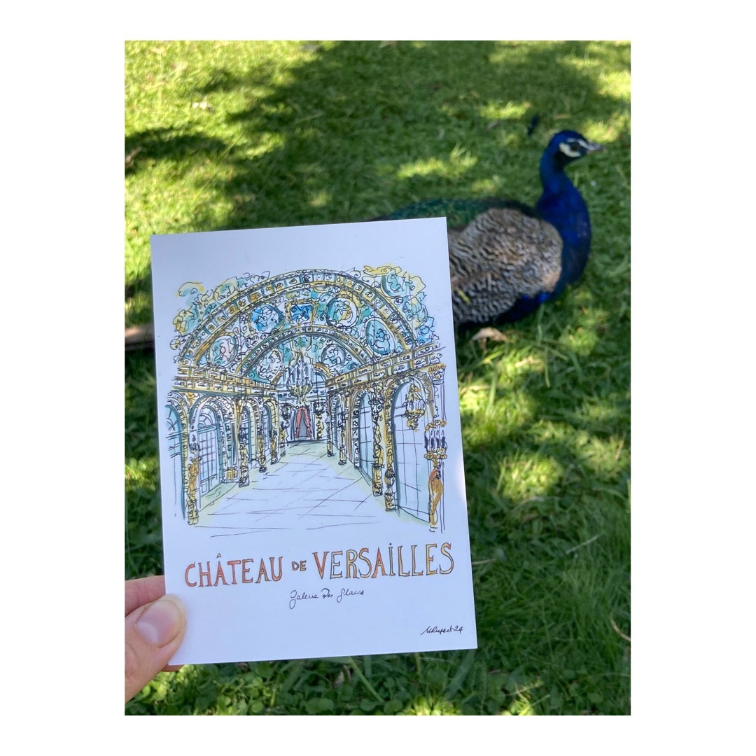 Pack of 10 Postcards of Château de Versailles