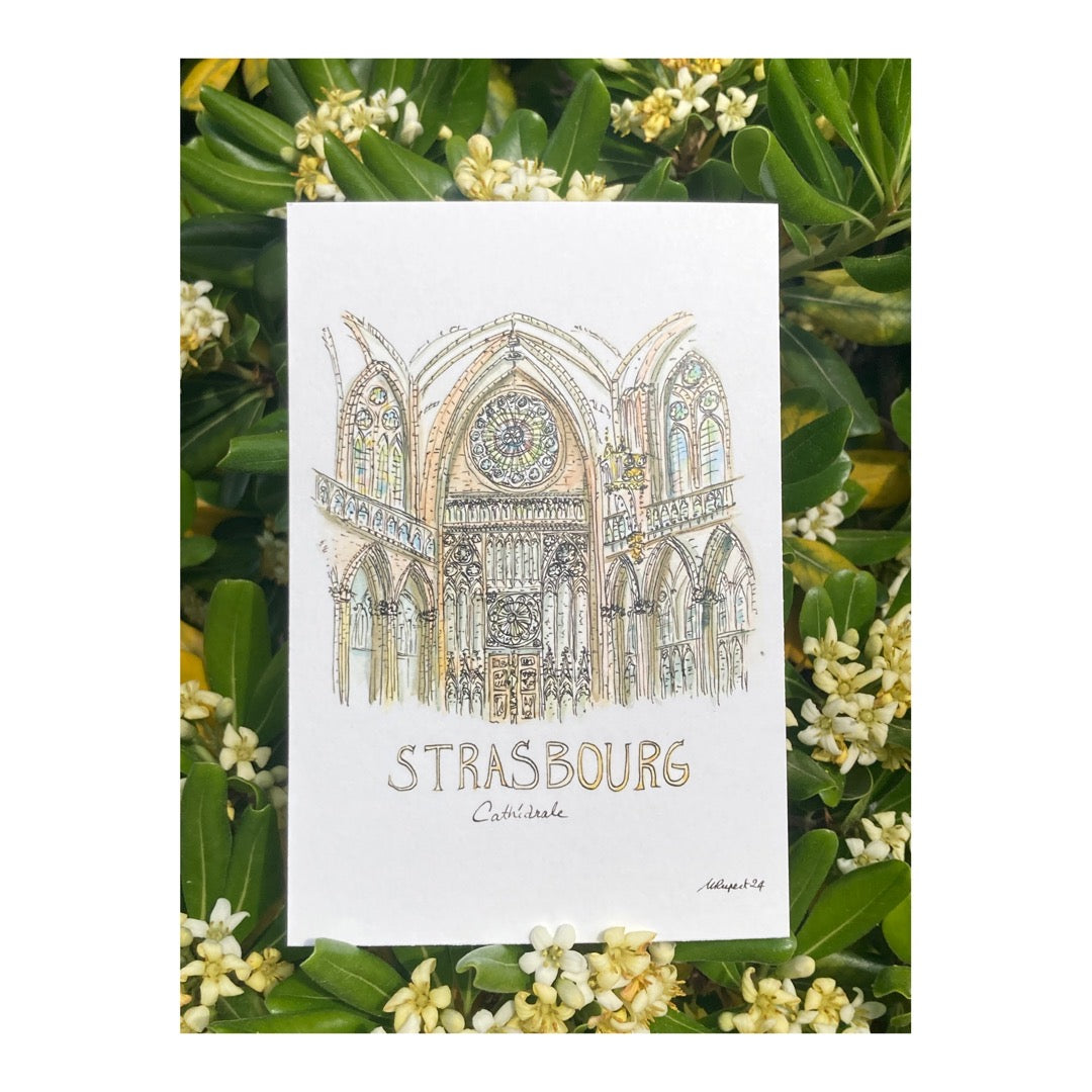 Pack of 10 Postcards of Strasburg